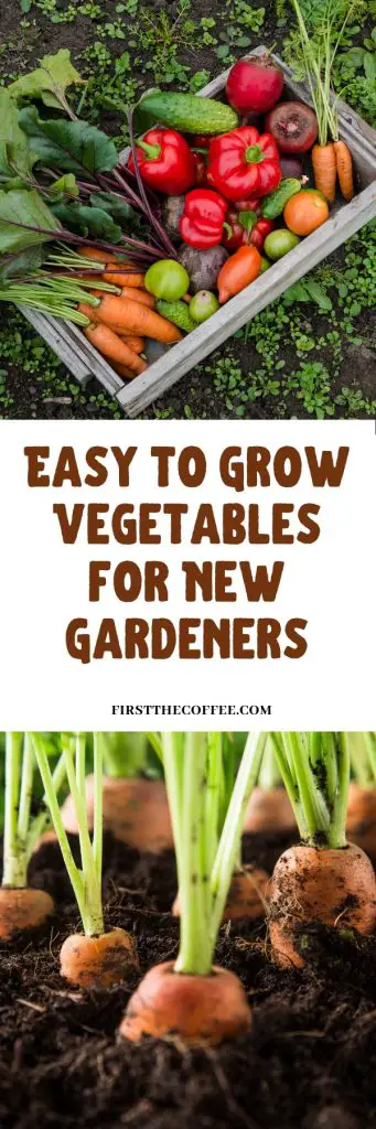 Easy to Grow
Vegetables
for New Gardeners