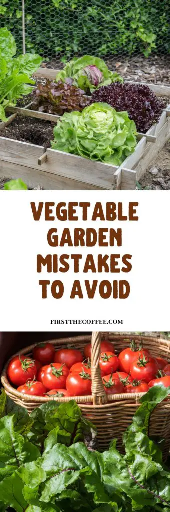 Vegetable Garden Mistakes to Avoid