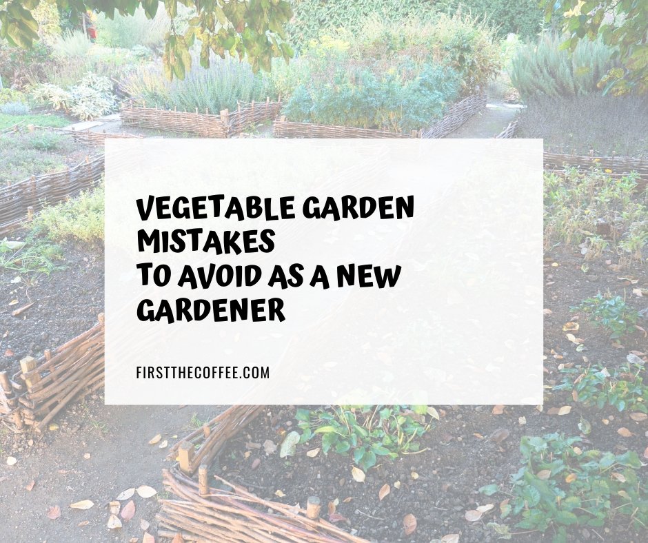 Vegetable Garden Mistakes to Avoid as a New Gardener