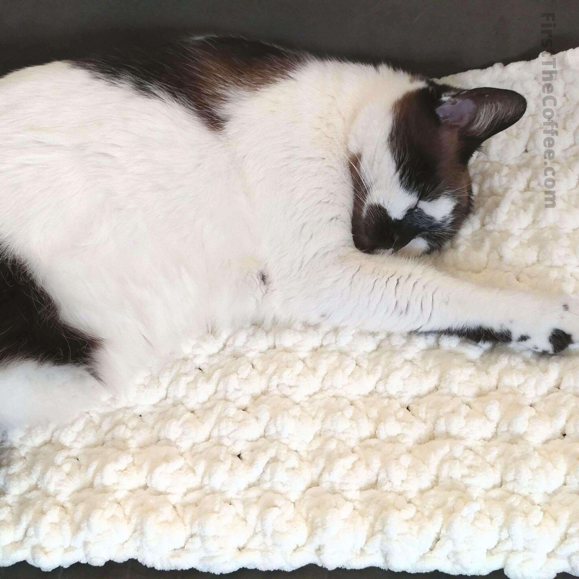 Easy Easy Crochet Cat Mat - Free Crochet Cat Bed Pattern - First The Coffee  Crochet
