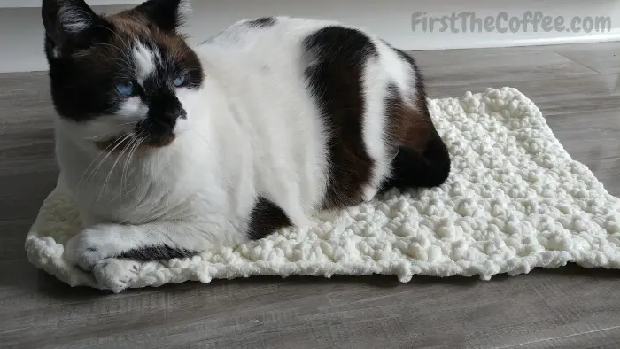 Crochet Cat Mat