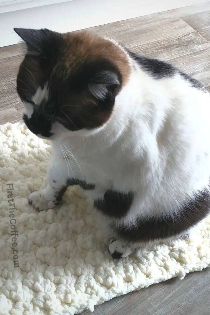 Crochet Cat Mat Pattern