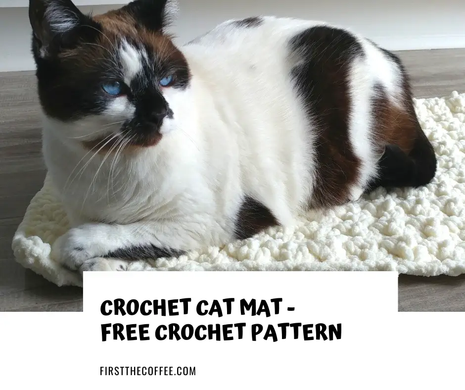 Free Crochet Cat Mat Pattern