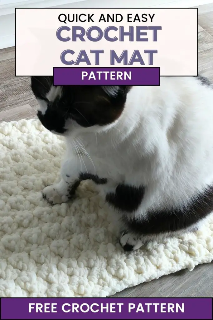 Free Quick and Easy Crochet Cat Mat Pattern