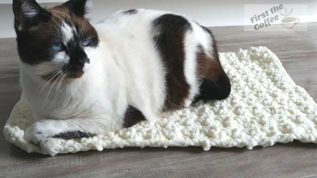 Easy Crochet Cat Mat Pattern