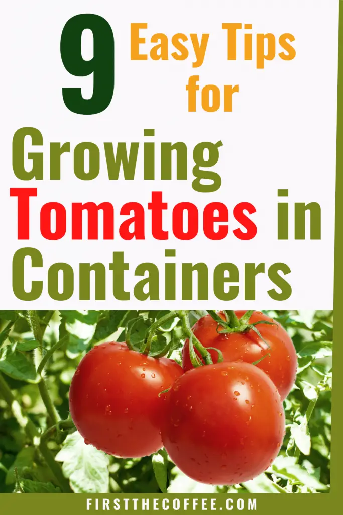 9 Easy Tips for Growing Tomatoes in Containers
