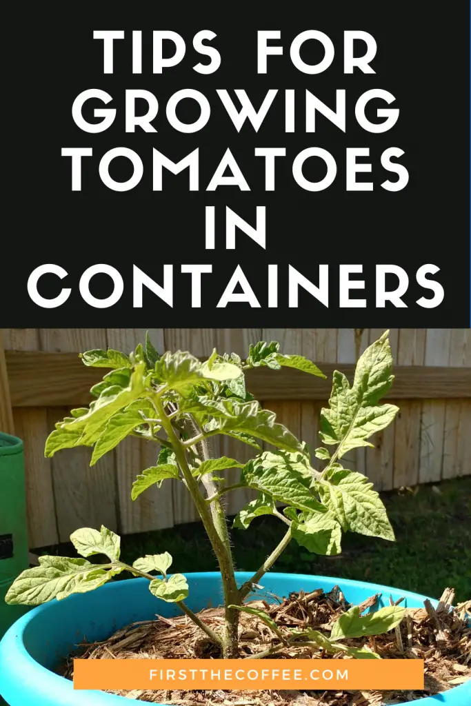 Tips for Growing Tomatoes in Containers.