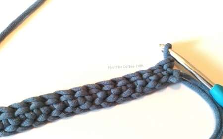 Half Double Crochet Back Loop Step 1