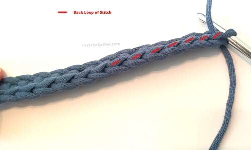 Back Loops on a Crochet stitch.