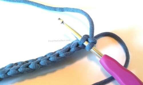 Single Crochet Back Loop Only Step 2
