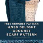 Free Crochet Scarf Pattern with Video Tutorial