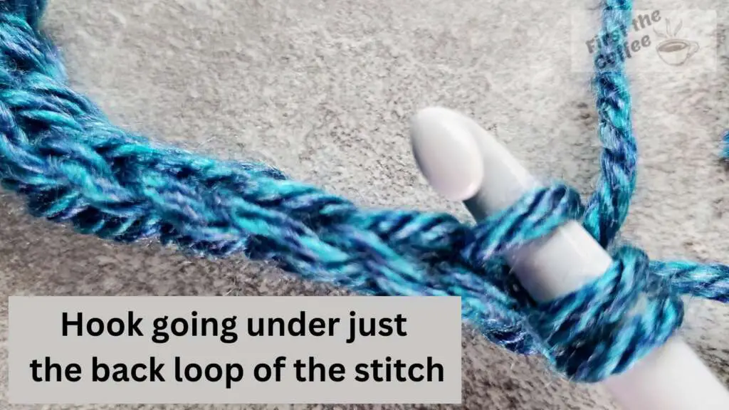 Hook under the back loop of a stitch