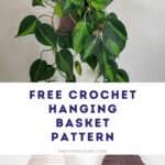 Free Hanging Crochet Basket Pattern