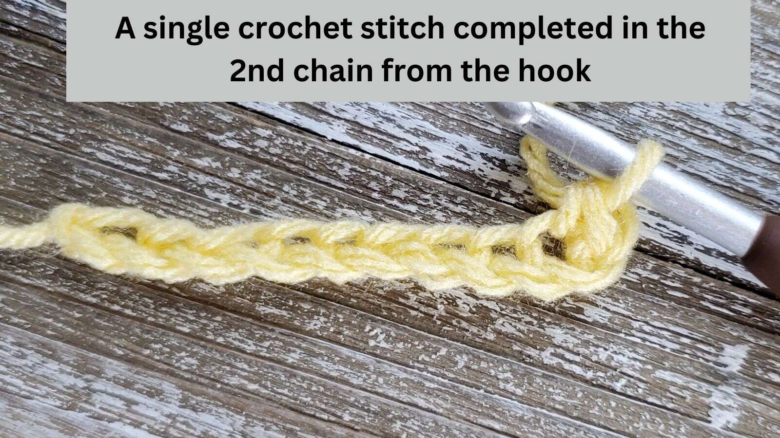a completed single crochet stitch in the 2nd chain from the hook on a foundation chain