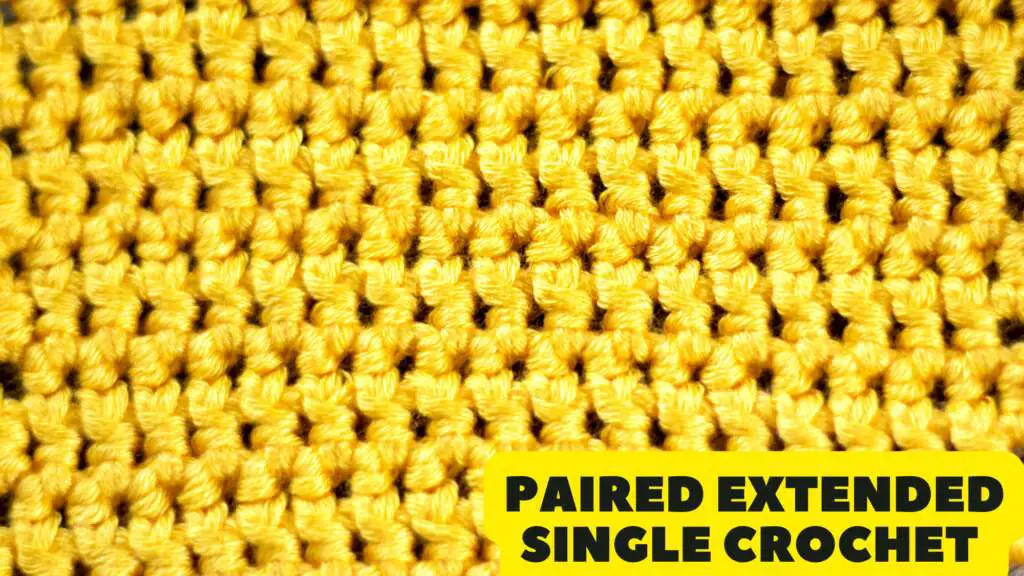 Paired Extended Single Crochet Stitch Tutorial
