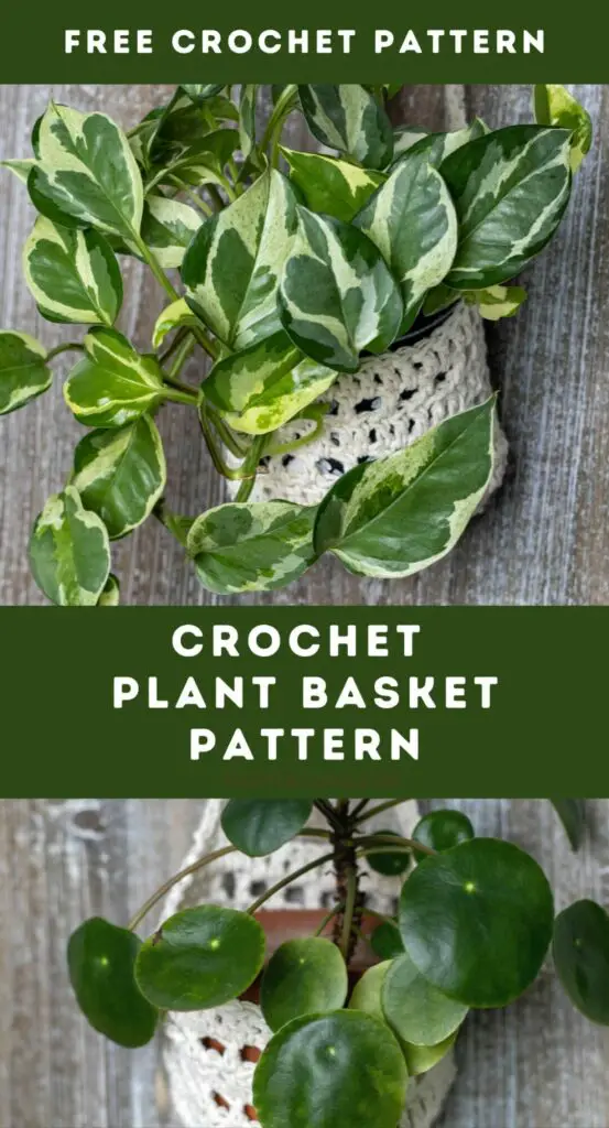 Crochet Plant Basket - Free Pattern