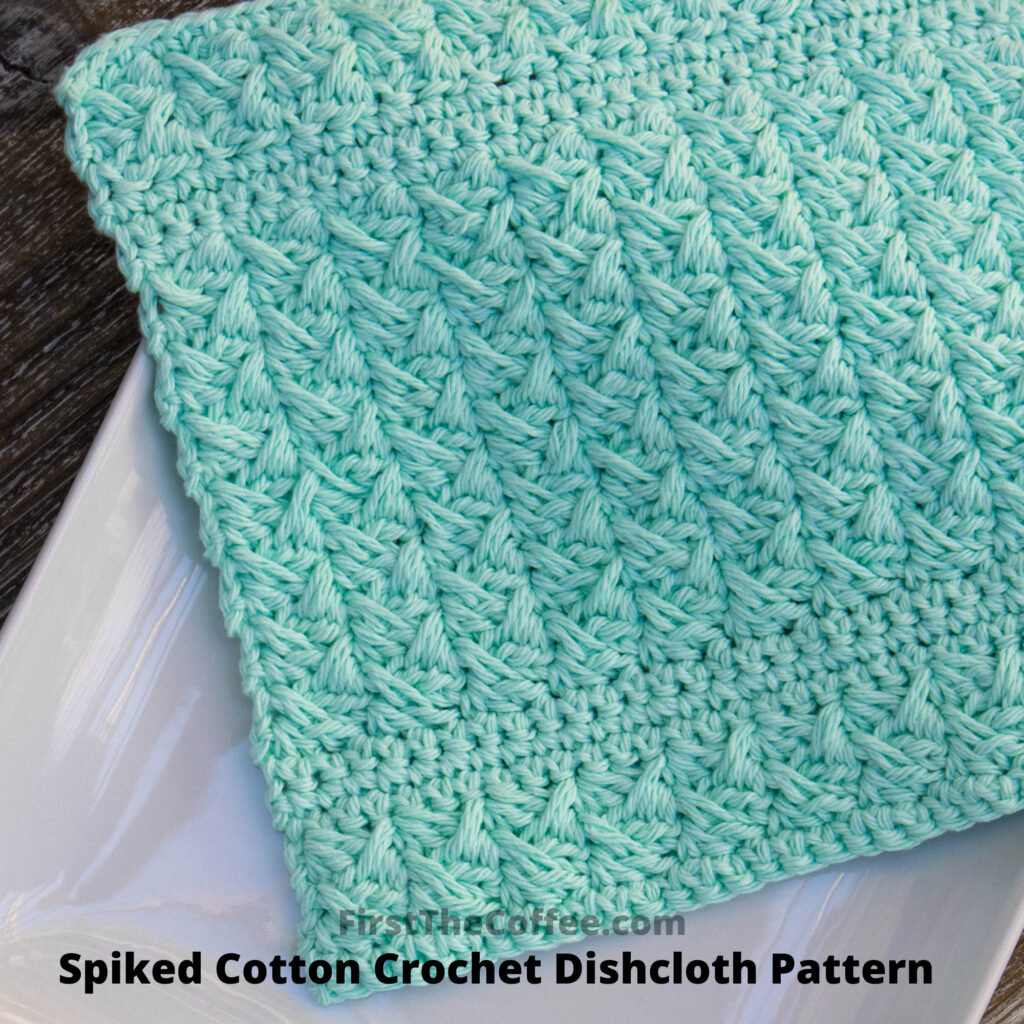 Spike Cotton Dishcloth on White Plate
