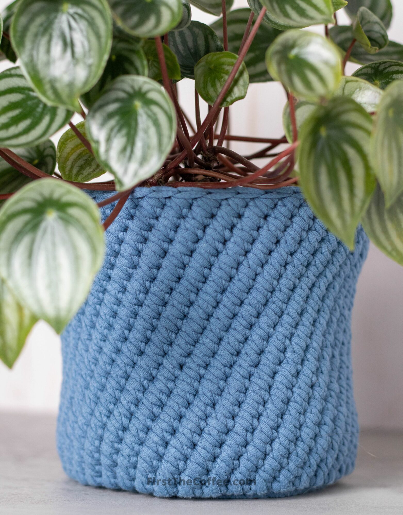 Vincent Plant Pot Crochet Cover
