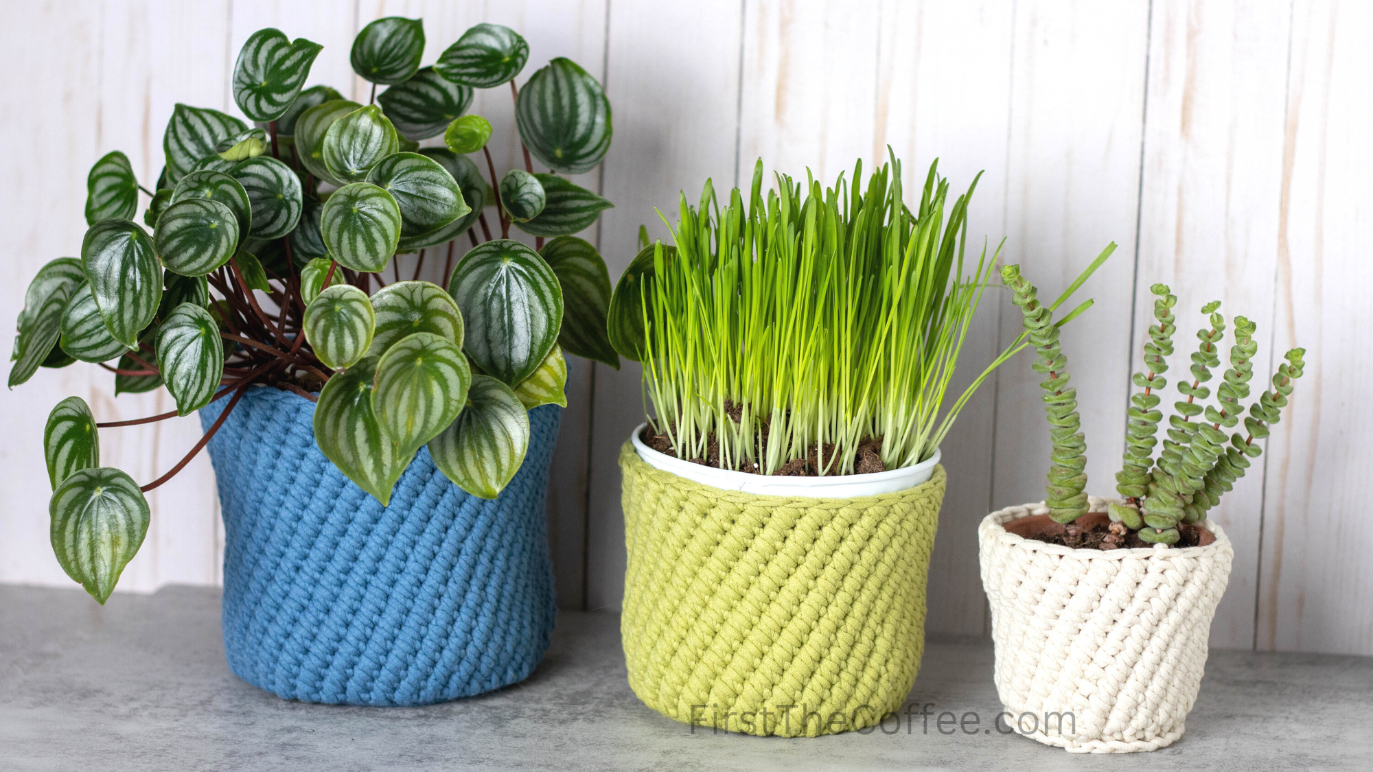 Vincent Crochet Plant Pot Cover in all 3 Sizes