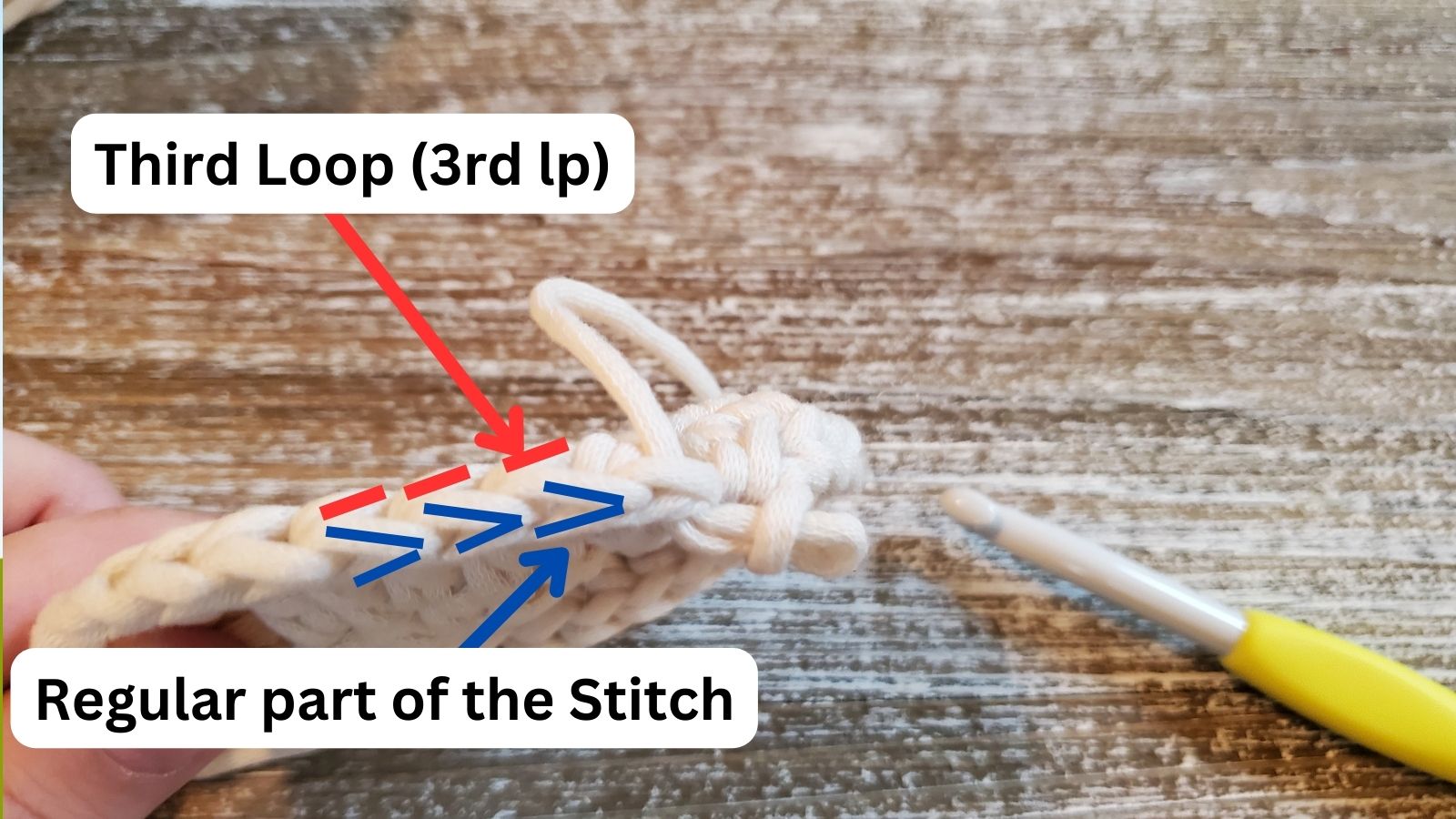 Working in the 3rd loop of a stitch, the 3rd loop is highlighted in red, the regular part of the stitch is highlighted in blue