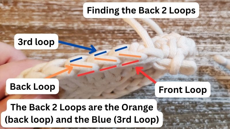 The Back 2 Loops of a Half Double Crochet Stitch