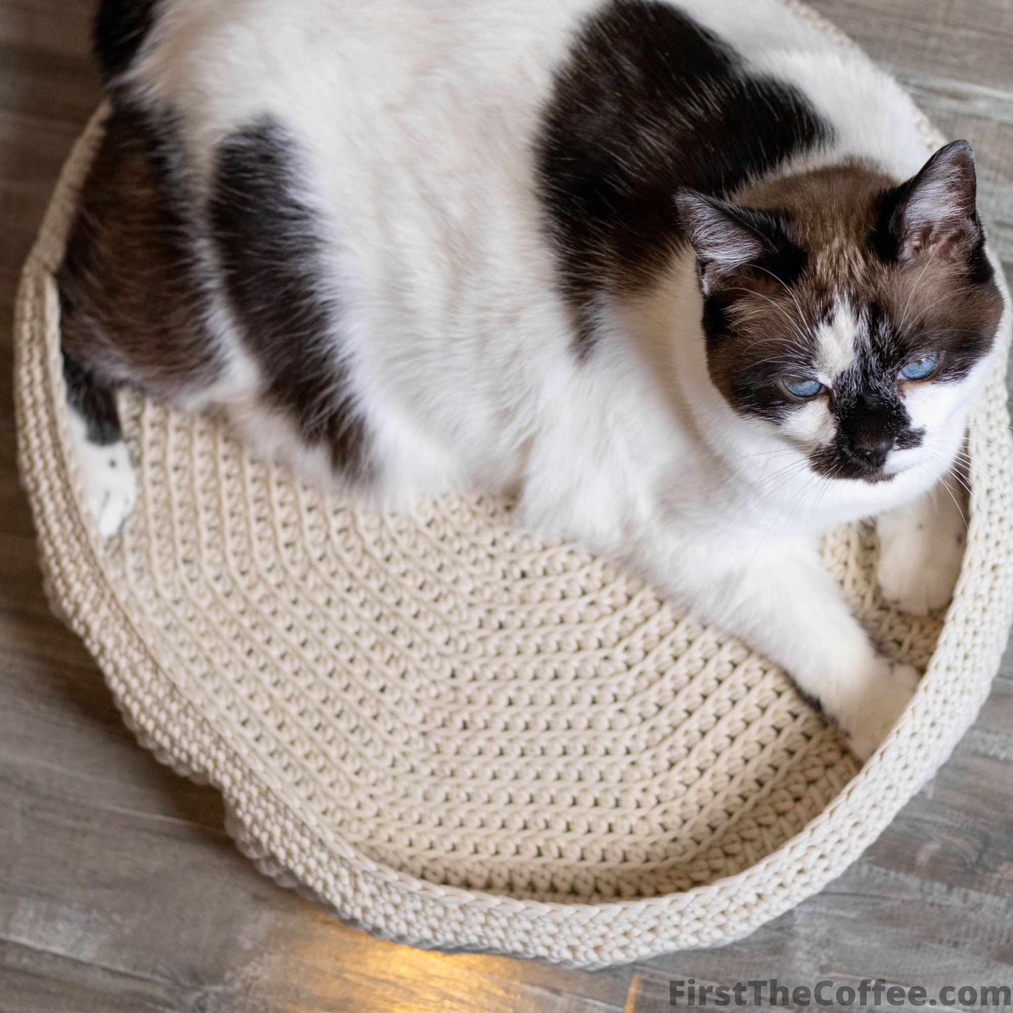 The large size of the Lounging Pet bed with a cat inside only taking up about half the space.